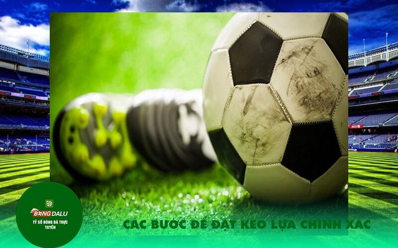 Cac buoc de dat keo lua chinh Các bước để đặt kèo lựa chính xác
