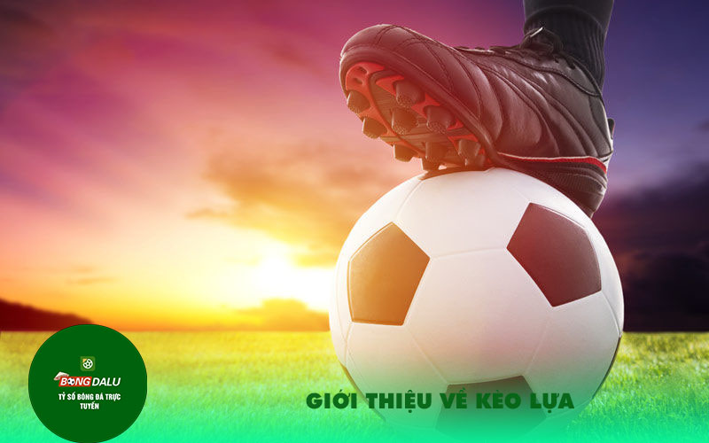 Gioi thieu ve keo lua Giới thiệu về kèo lựa