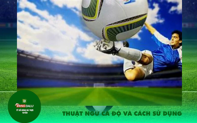 Thuat ngu ca do va cach su dung Thuật ngữ cá độ và cách sử dụng