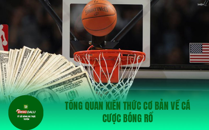CA CUOC BONG DA 5 Tổng quan kiến thức cơ bản về cá cược bóng rổ